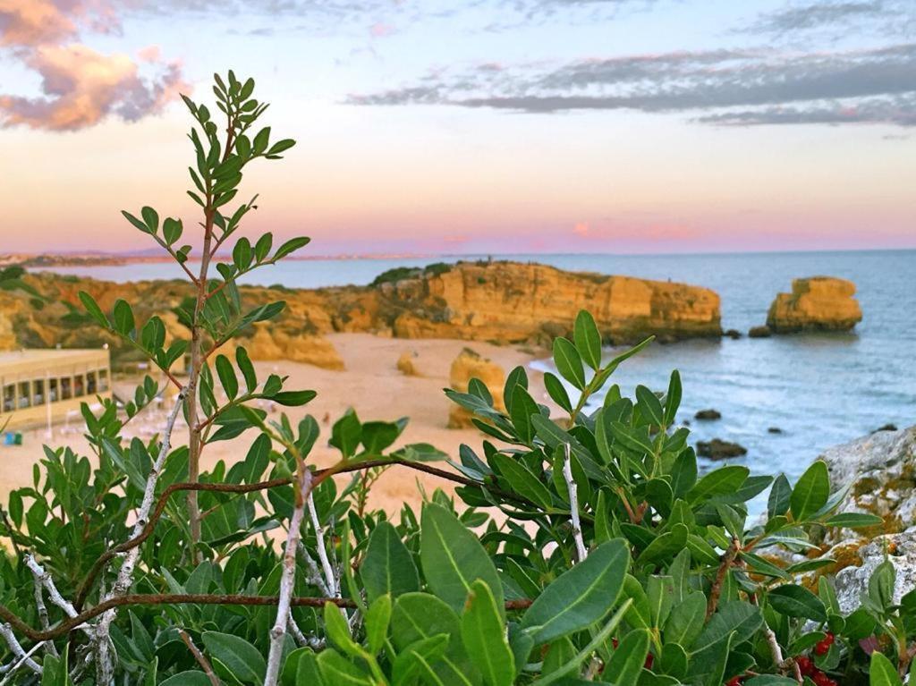 Casa Elisa Sao Rafael Lejlighed Albufeira Eksteriør billede